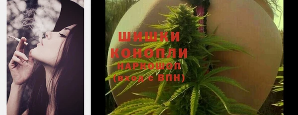 mdpv Ельня