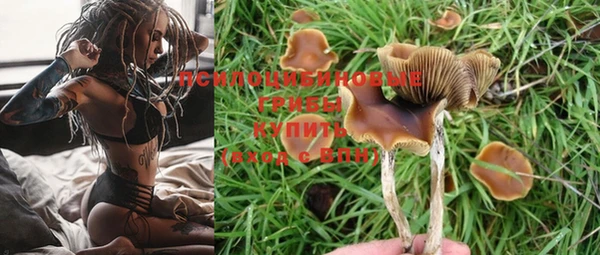 mdpv Ельня