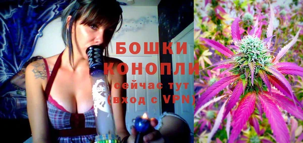 mdpv Ельня