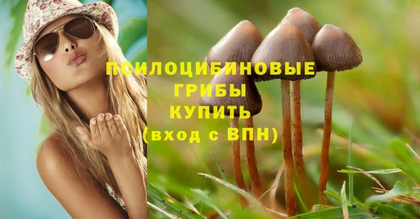mdpv Ельня
